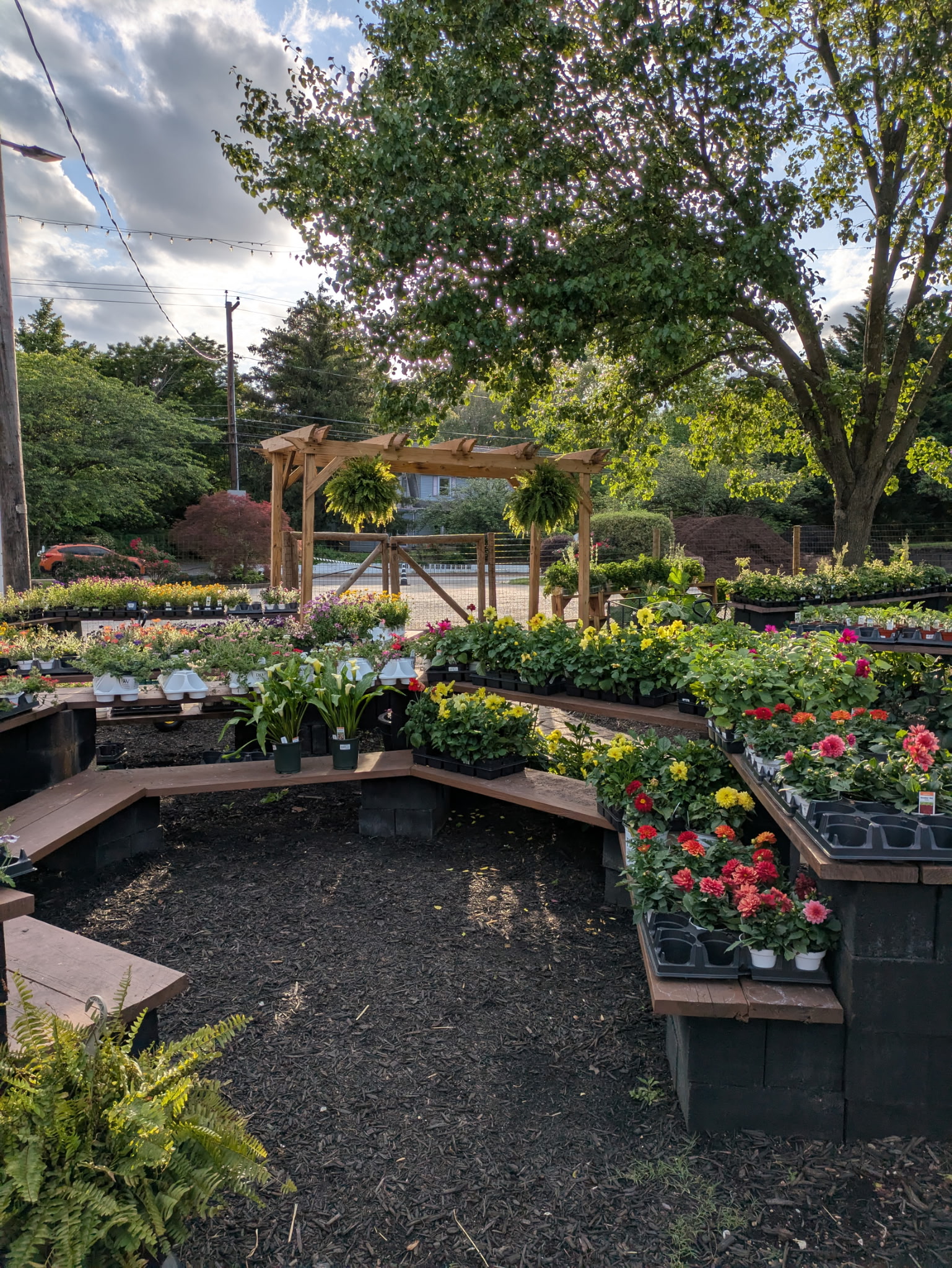 The Pergola